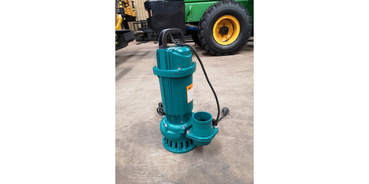 Submersible Water Pump 76mm 220V